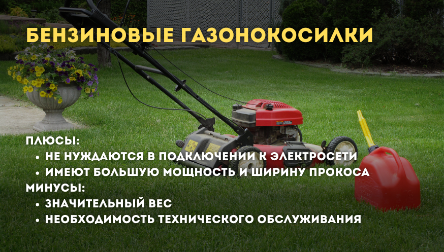 Как выбрать газонокосилку изображение 1