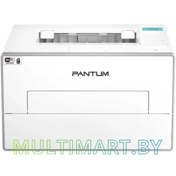 Принтер Pantum BP4210DN