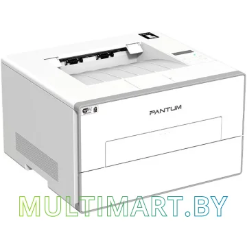 Принтер Pantum BP4210DN картинка 4