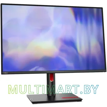 Монитор Lenovo ThinkVision T24d-30 (63FFMAT1UK) картинка 2